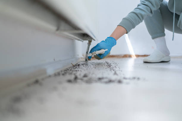 Best Exterminator Services  in Hooverson Heights, WV